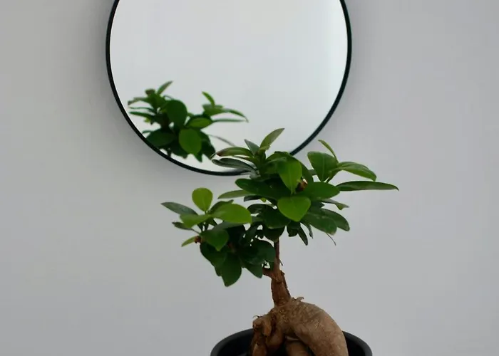 Willa The Lava By A Terre Cave