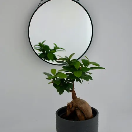 Villa The Lava By A Terre Cave