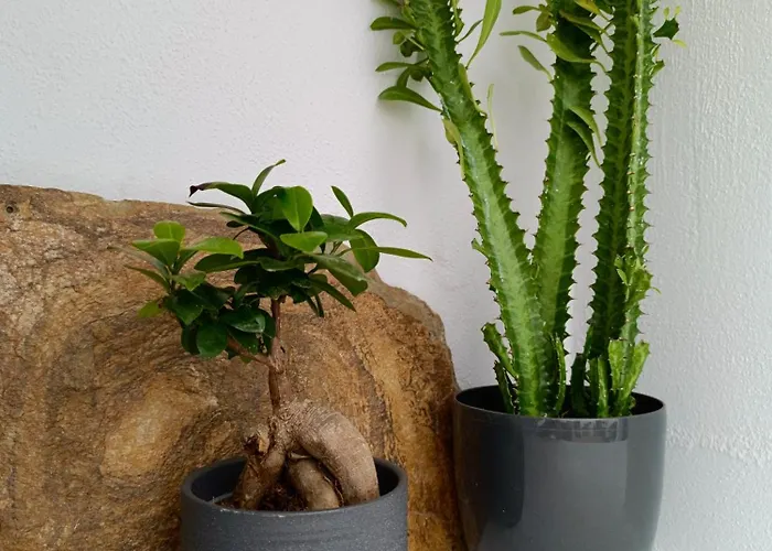 Villa The Lava By A Terre Cave Fira (Santorini)